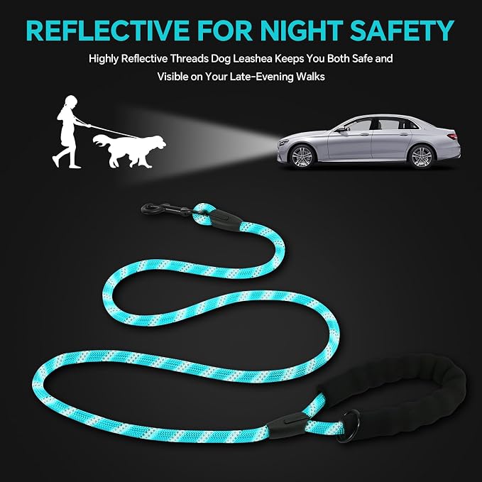 Heavy Duty Dog Leash - 4.9 FT for Large and Small Dogs - Strong Nylon, Comfortable Handle, Reflective Stitching - Ideal for Walking, Training, and Outdoor Activities, Turquoise