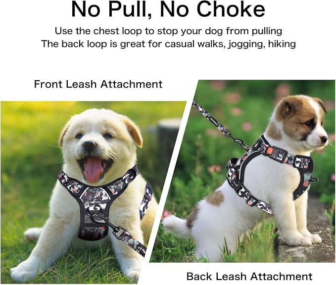 Petmolico No Pull Dog Harness Set with Leash Attachment Easy Control Handle Reflective Harness Vest Small Breed, Puppy Vest and Leash Set with Poop Bag Holder, Medium - Rainforest Flower