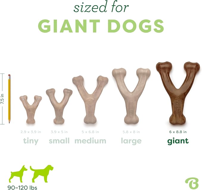 Benebone Wishbone Durable Dog Chew Toy for Aggressive Chewers, Made in USA, Giant, Real Bacon Flavor