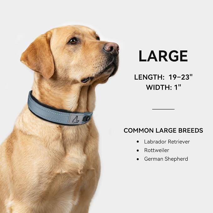 Joytale Dog Collar for Large Dogs, Neoprene Padded and Adjustable, Reflective Wide Heavy Duty Pet Collars with Durable Metal Belt Buckle for Walking, Gray, L