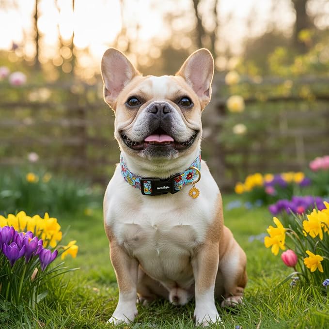 Dog Collar for Medium Dogs, Spring &Summer Theme Dog Collars with Colorful Flower Pattern, Adjustable Blue Small Dog Collars, Cute Girl or Boy Dog Collar Ideal for Gifts,Pet Accessory