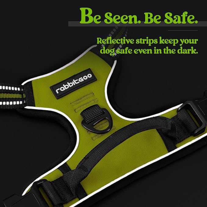 rabbitgoo Dog Harness No Pull with 2 Leash Clips, Adjustable Soft Padded, Reflective Oxford No Choke Pet Vest with Easy Control Handle for Small Dogs, Wild Lime,S