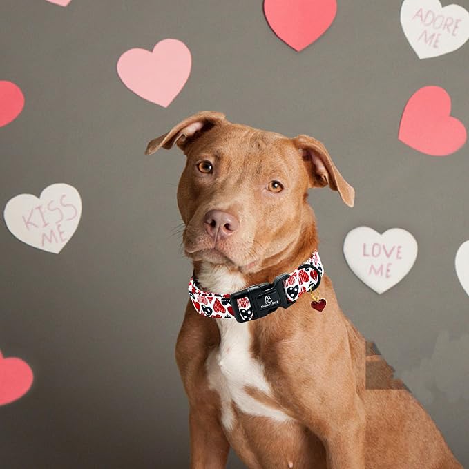 Lionheart glory Valentine's Dog Collar-Red Hearts Cute Spring Dog Collar for Medium Dogs Female Male Adjustable Heavy-Duty Dogs Collar Holiday Pet Gift