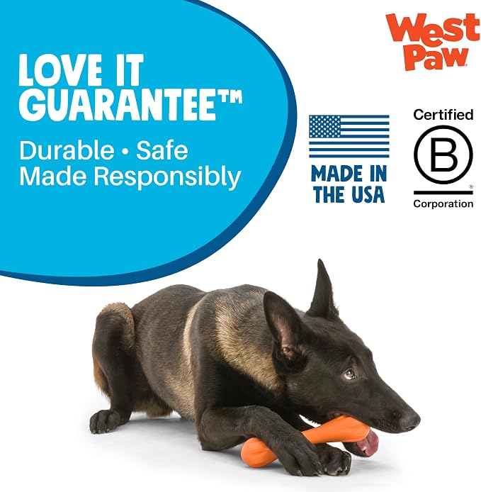 WEST PAW Zogoflex Hurley Dog Bone Chew Toy – Floatable Pet Toys for Aggressive Chewers, Catch, Fetch – Bright-Colored Bones for Dogs – Recyclable, Dishwasher-Safe, Non-Toxic, Small, Aqua