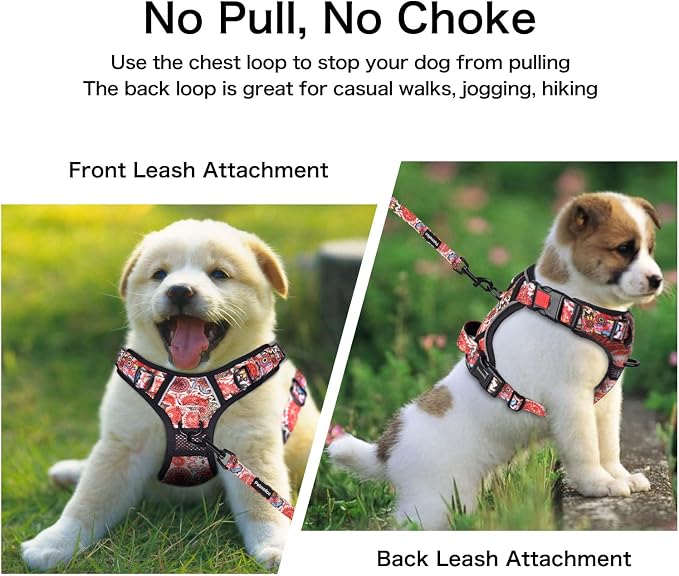 Petmolico No Pull Dog Harness Set with Leash Attachment Easy Control Handle Reflective Harness Vest Small Breed, Puppy Vest and Leash Set with Poop Bag Holder, Small - Boho Floral