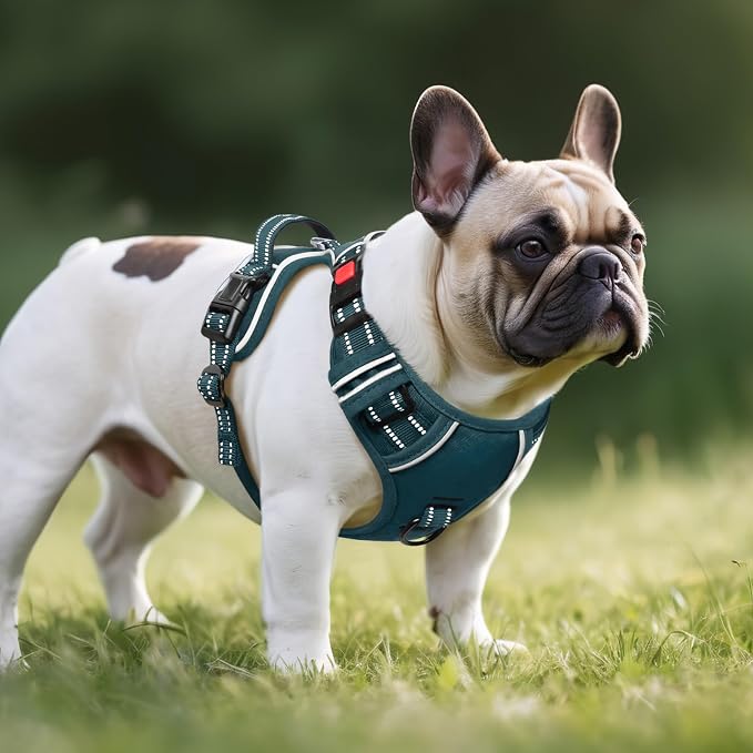 Timos Dog Harness Small Sized, No Pull Pet Harness with Neck Lockable Snap, No Choke Front Clip Reflective Vest, Adjustable Metal Rings 3 Buckles, Easy Control Handle for Small Dogs Blackish Green S