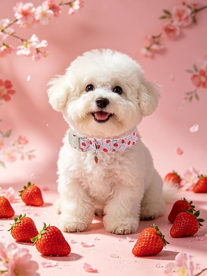 Maca Bates Spring Pink Basic Dog Collar with Strawberry Charm for Small Girl Boy Dogs, Leaves Strawberries Pattern,Pretty Gift Adjustable Durable Soft Collars for Male Female Puppy