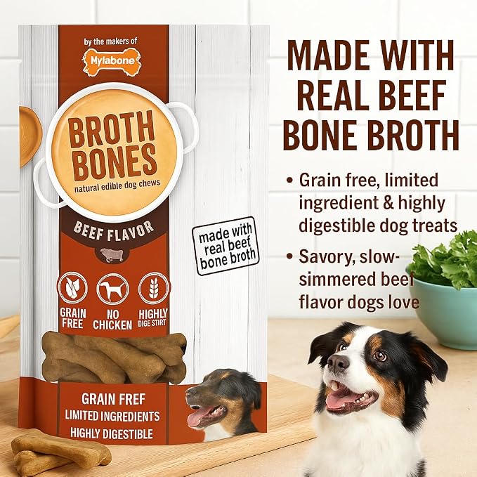 Nylabone Beef Broth Bones Dog Treats (Net 54Count), 2.38 Lb