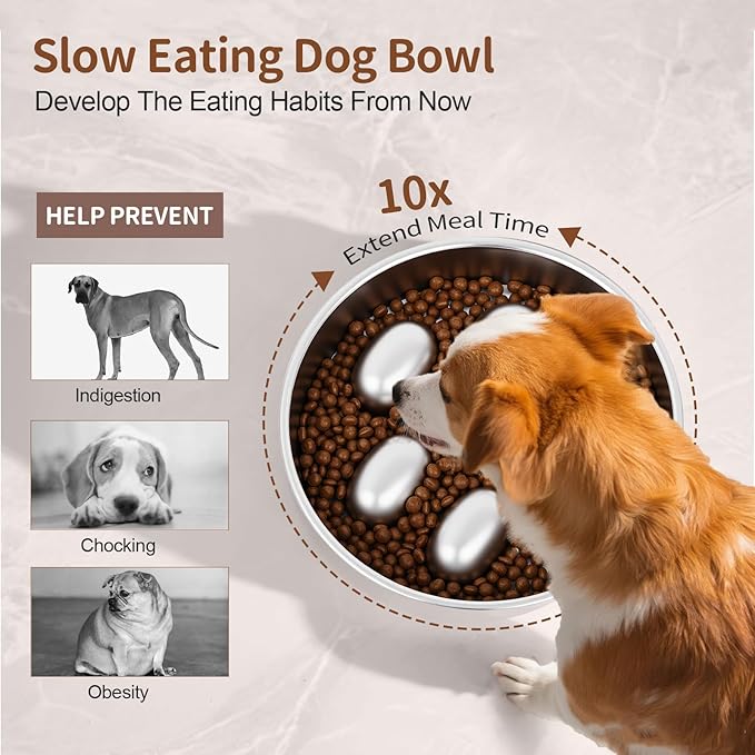 Slow Feeder Dog Bowl for Fast Eating Dogs Stainless Steel Heavy Duty 8.2" with Non-Slip Base, Raised Obstacle Slow Down Eating for Small Medium Large Dogs, Reduces Bloat & Indigestion, Dishwasher Safe