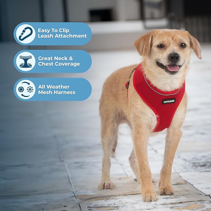 Best Pet Supplies Voyager Aerolite Over the Head Dog Harness, No Pull Breathable Air Mesh Vest, Quick Dry with Reflective Stitching, Adjustable Escape Resistant Harness - Red, Medium