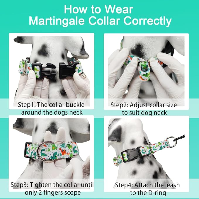 Martingale Dog Collars with Buckle No Pull Training Dog Collar for Medium Dogs (Green Dinosaur, Medium)