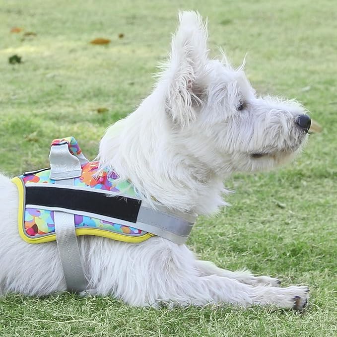 Dog Harness, No-Pull Reflective Dog Vest, Breathable Adjustable Pet Harness with Handle for Outdoor Walking - No More Pulling, Tugging or Choking (X-Small (Pack of 1), Watercolour)