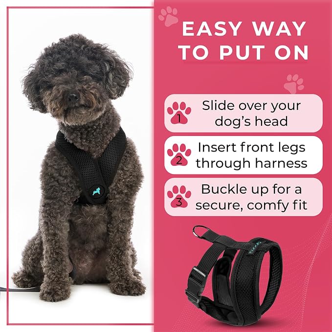 Gooby Comfort X Head In Harness - Black, Medium - No Pull Small Dog Harness Patented Choke-Free X Frame - Perfect on the Go Dog Harness for Medium Dogs No Pull or Small Dogs for Indoor and Outdoor Use