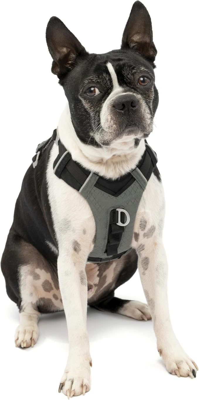 Kurgo Journey Air Dog Harness - Secure Fit for Active Dogs - Padded Chest - Lightweight Ripstop Fabric - Breathable Mesh - Reflective Trim - Back Assist Handle - Black- Small