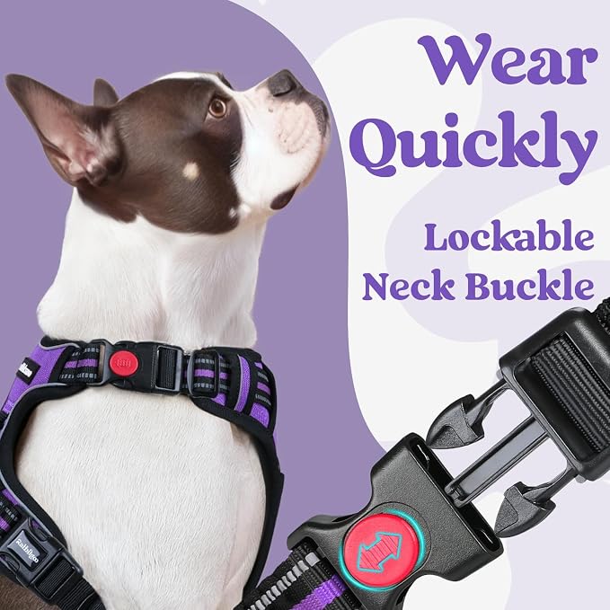 rabbitgoo Dog Harness for Large, No Pull Easy On & Off with 3 Buckles Pet Harness, Adjustable Soft Walking Vest with 2 Clips and Handle, Reflective for Large Dogs, Purple, L
