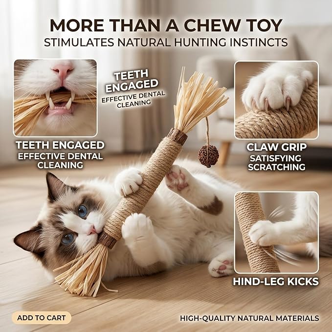 Cat Toys 21Pack Silvervine Chew Stick Kitten Treat Catnip Toy Kitty Natural Stuff Catnip Matatabi for Cleaning Teeth Indoor Dental Snack Interactive