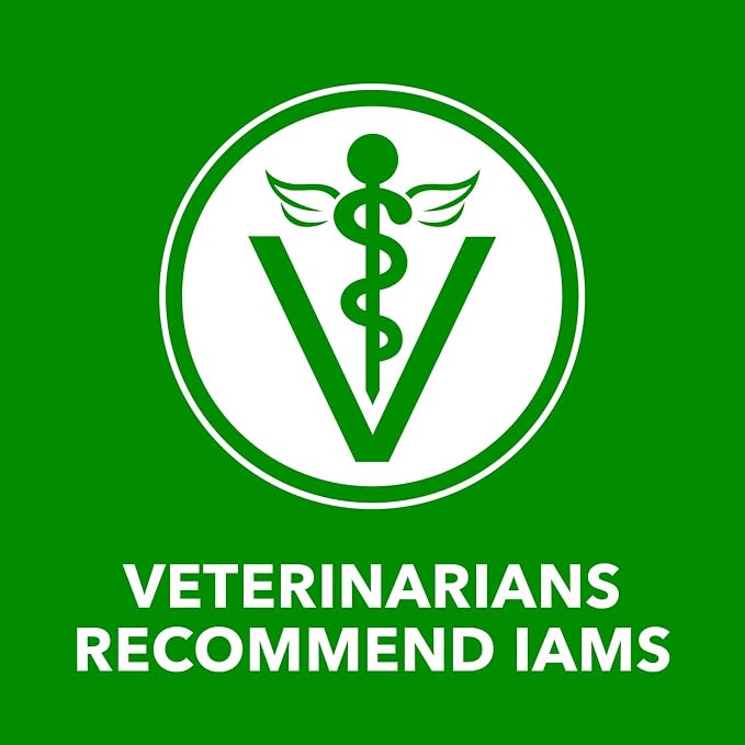 IAMS Proactive Health Wet Dog Food Adult, Canned Dog Food, Beef, Rice, Carrots & Green Beans Chunks in Gravy, 13 oz. Cans 12 Count (Pack of 2)