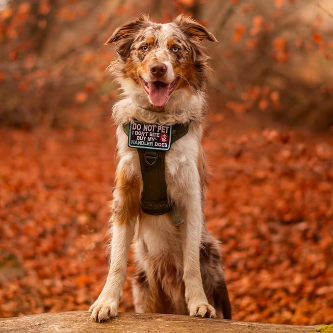 rabbitgoo Tactical Dog Harness for Large Dogs No Pull Adjustable Military Vest with Handle MOLLE Reflective Heavy Duty Dog Vest for Walking Training Hunting Outdoor Working Medium Size Dog Red M
