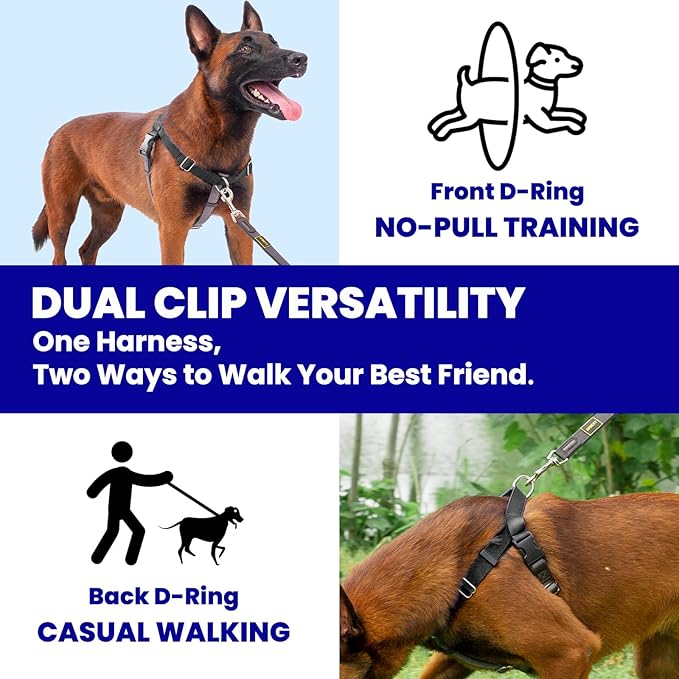 No Pull Dog Harness Freedom Walking, Easy Walk with Front and Back Stainless D-Rings, Sewn-in Instructions Tags for Easy Use, for Medium/Large Dogs Weight 40-60 lbs (Black, Med/Large)