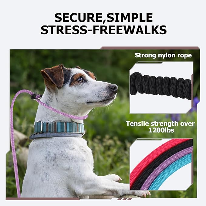 Slip Lead Dog Leash – Strong Nylon Training Rope with Spring-Loaded Adjustable Stopper – 5/16" x 4/5/6ft -No Pull Heavy Duty Leash for Small Medium Large Dogs (Black, 6 FT)
