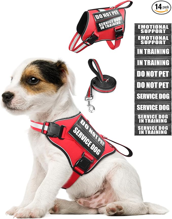 Service Dog Vest Harness and Leash Set+10 Patches for Puppy Small Dogs,Do Not Pet Emotional Support Dog Vest with 2 Soft Padded Handle for Everyday/Training (Red XS)