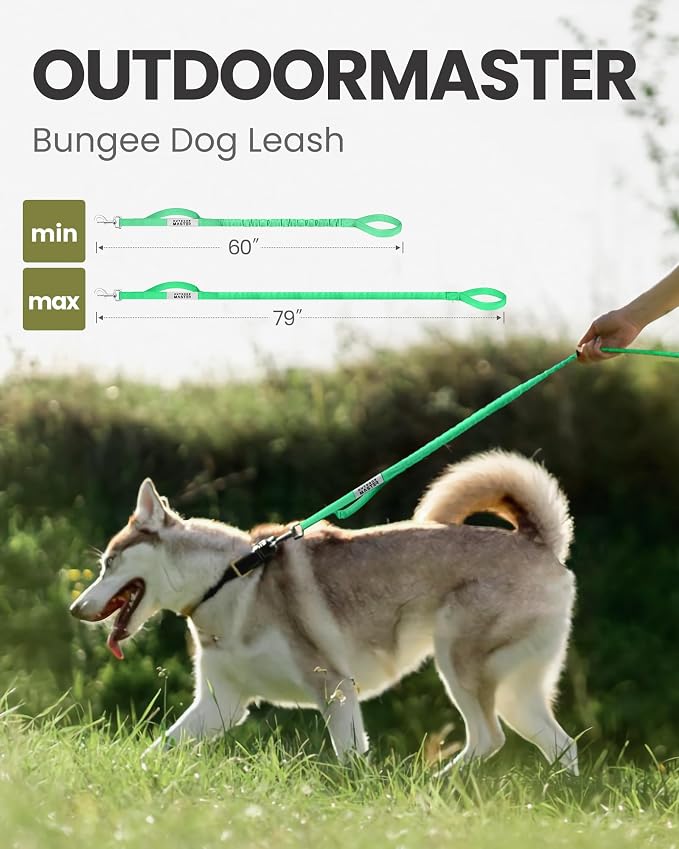 OutdoorMaster Bungee Dog Leash, Heavy Duty Dog Leash with Shock Absorption, 2 Padded Handles Training Leash, Improved Dog Safety and Comfort (Green, 6FT)