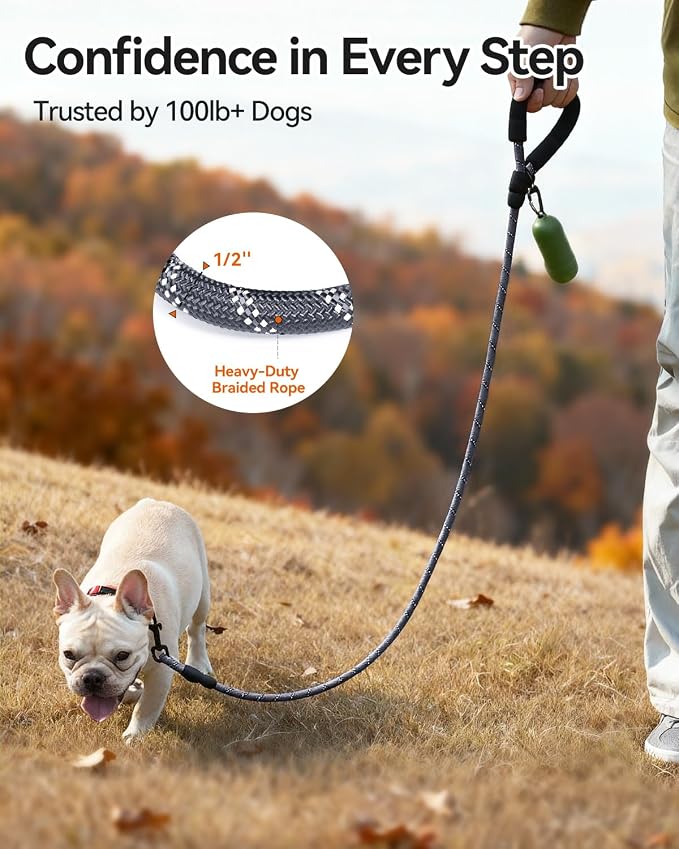 Joytale Dog Leash for Small Dogs, Heavy Duty Nylon Leashes with Comfortable Padded Handle and Highly Reflective Threads, Ideal for Walking and Training, Gray, 5'×3/8''