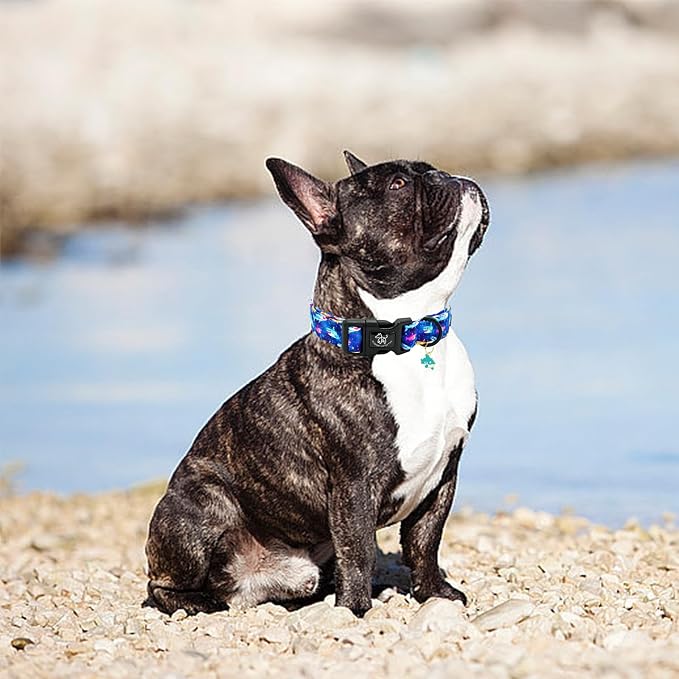 Elegant little tail Dog Collar- Cute Dog Pet Collars Blue Shark Print Puppy Adjustable Soft Cotton Boy Dog Collars for Small Medium Large Dogs, X-Small