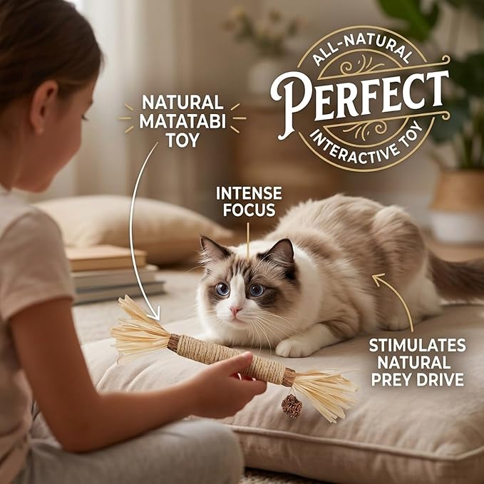 Cat Toys 12Pack Silvervine Chew Stick 12Pack Kitten Treat Catnip Toy Kitty Natural Stuff Catnip Matatabi for Cleaning Teeth Indoor Dental Snack Interactive