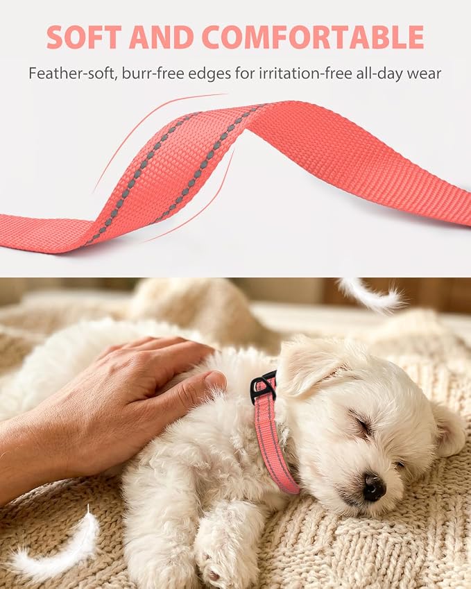 Joytale Small Dog Collar, Durable Double-Sided Reflective Nylon Collar for Night Safety, Adjustable Quick-Release for Active Breeds, Pink, S (3/4" Width)