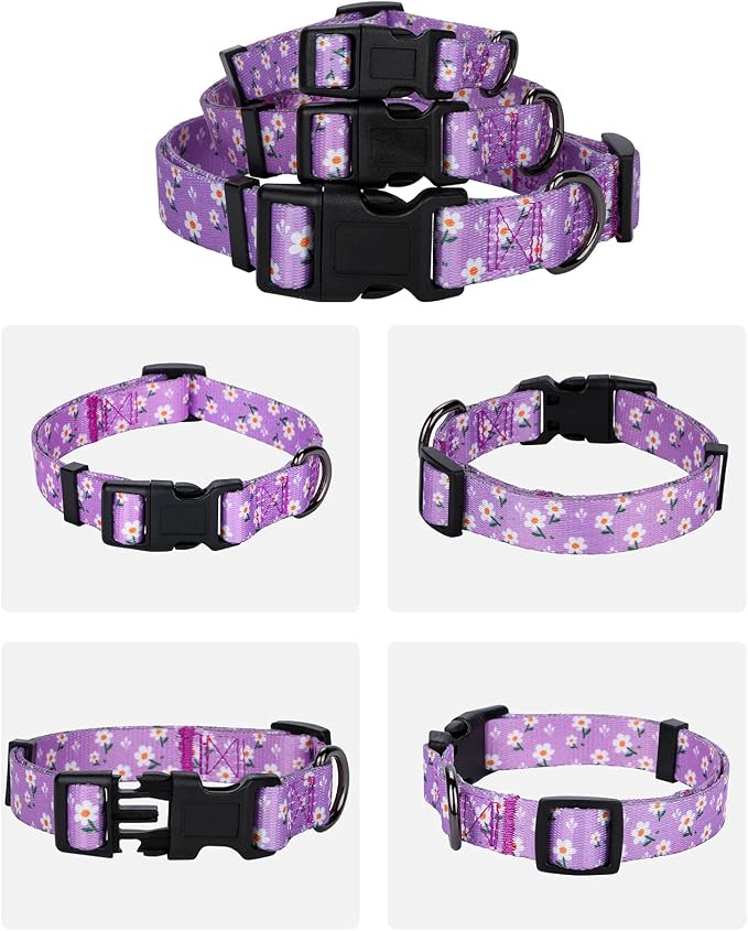 Daisy Girl Dog Collars, Floarl Design for Medium Dogs, Purple