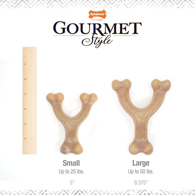 Nylabone Gourmet Style Wishbone Strong Chew Toy for Dogs, Chicken Flavor, Small - Up to 25 lbs, 1 Count