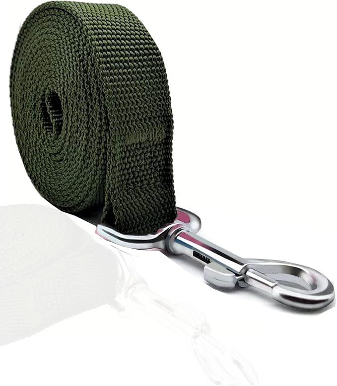 TAIAN 4FT/5FT/6FT Strong Dog Leash, Nylon Dog Leashes for Small Medium Large Dogs (Green, 1 in x 15 ft)