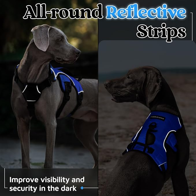 rabbitgoo Escape Proof Dog Harness, Soft Padded Full Body Pet Harness, Reflective Adjustable No Pull Vest with Lift Handle and Leash Clip for Large Dogs Walking Hiking Training, XL, Blue