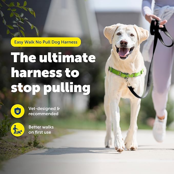 PetSafe Easy Walk No-Pull Dog Harness - Ultimate Harness to Help Stop Pulling - Pull-Free Walks - Take Control & Teach Better Leash Manners - Patented Martingale Loop Design - Apple Green, Large