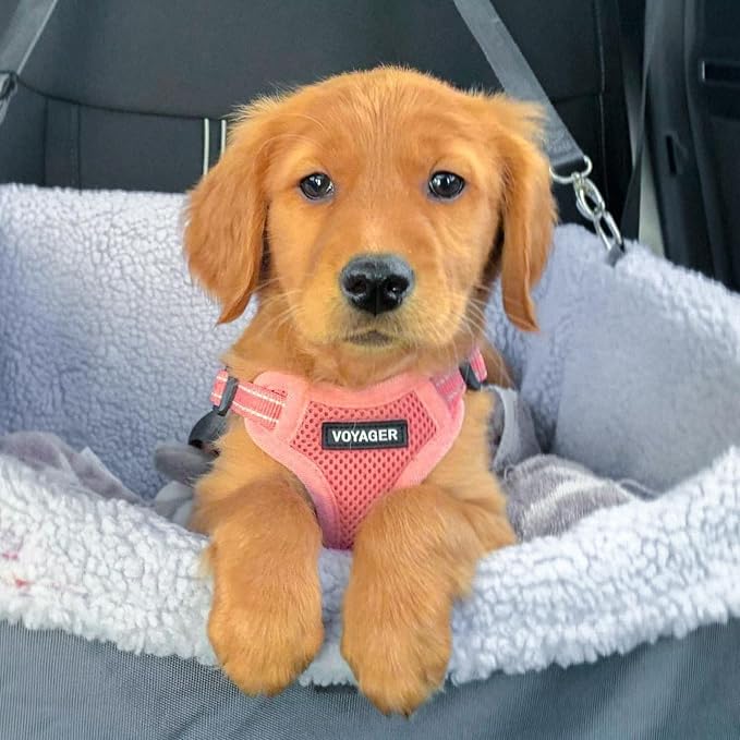 Best Pet Supplies Voyager Adjustable Step-in Flex Breathable Mesh Dog Harness for Small Medium Large Dogs Leash Set (Pink), S