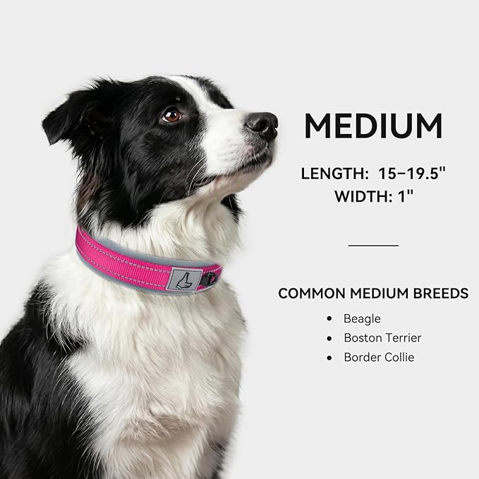 Joytale Dog Collar for Medium Dogs, Neoprene Padded and Adjustable, Reflective Wide Heavy Duty Pet Collars with Durable Metal Belt Buckle for Walking, Hotpink, M