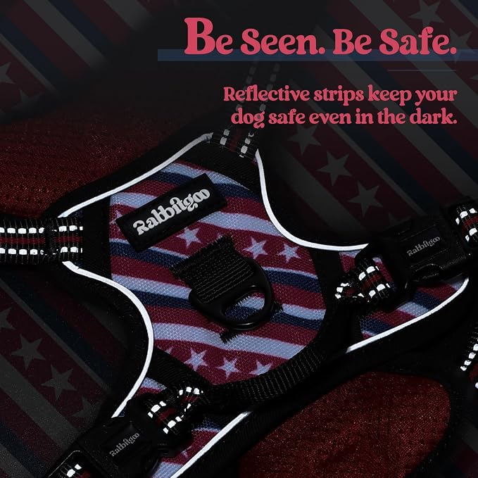 rabbitgoo Dog Harness No Pull with 2 Leash Clips, Adjustable Soft Padded, Reflective Oxford No Choke Pet Vest with Easy Control Handle for Large Dogs, Red Stripe, XS