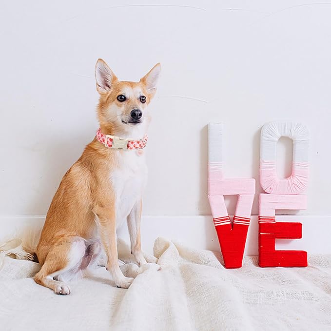 DOGWONG Valentine Dog Collar- Cute Pink Heart Dog Collars Adjustable Durable Designer Valentine’s Day Dog Collar for Small Medium Large Dogs M