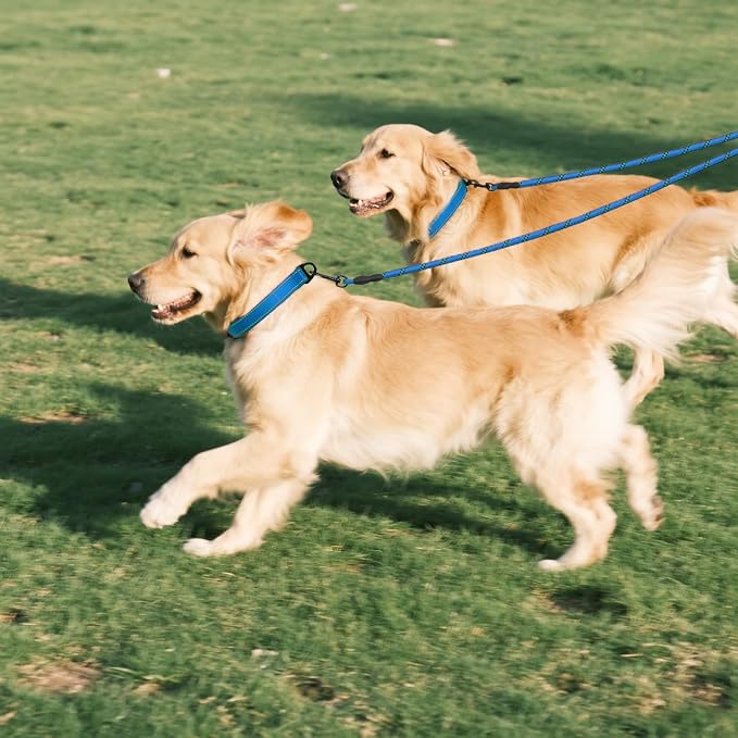 Taglory Double Dog Leash Coupler for Two Dogs, 1/3" Lightweight Dual Leash Extension for Small and Medium Dogs, No Tangle 360° Swivel, Reflective Rope, 30 Inch, Blue