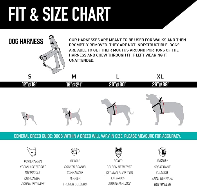 Wolfgang Heavy Duty Adjustable Dog Harness, Pull-Tested for Walking & Training, LazyDaisy Print, Small
