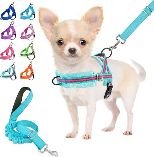 Lukovee No Pull Dog Harness and Leash Set, Soft Padded Small Dog Harness, Neck & Chest Adjustable Reflective Vest Puppy Harness with 4ft Lightweight Anti-Twist Dog Leash for Small Dogs (XS, 01-LBL)