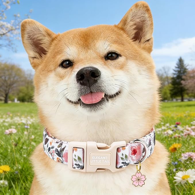 Elegant little tail Dog Collar - Pink Floral Dog Collars Cute Spring Puppy Adjustable Pet Collars with Sturdy Quick Release Buckle for Large Dogs