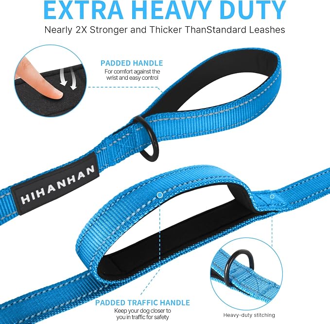 Reflective Dog Leash with Double Handle, Dog Leash 6 FT Long, Supports Medium and Large Dogs, Heavy Duty for Walking, Running, and Training, Blue