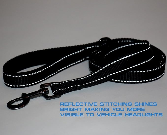Max and Neo™ Double Handle Traffic Dog Leash Reflective - We Donate a Leash to a Dog Rescue for Every Leash Sold (Blue)