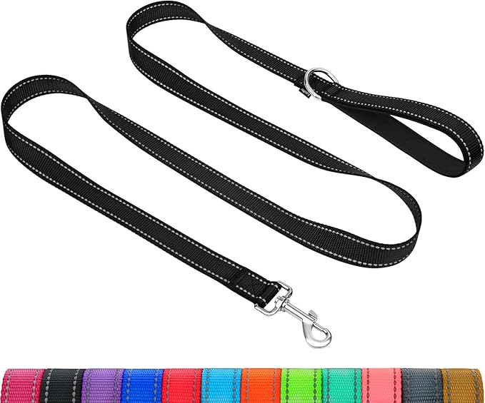 Taglory Dog Leash for Small Dogs, Double-Sided Reflective for Night Walking, Neoprene Padded Handle, 3/4 inch by 5 ft, Lightweight for Small Medium Breeds up to 30 lbs, Black