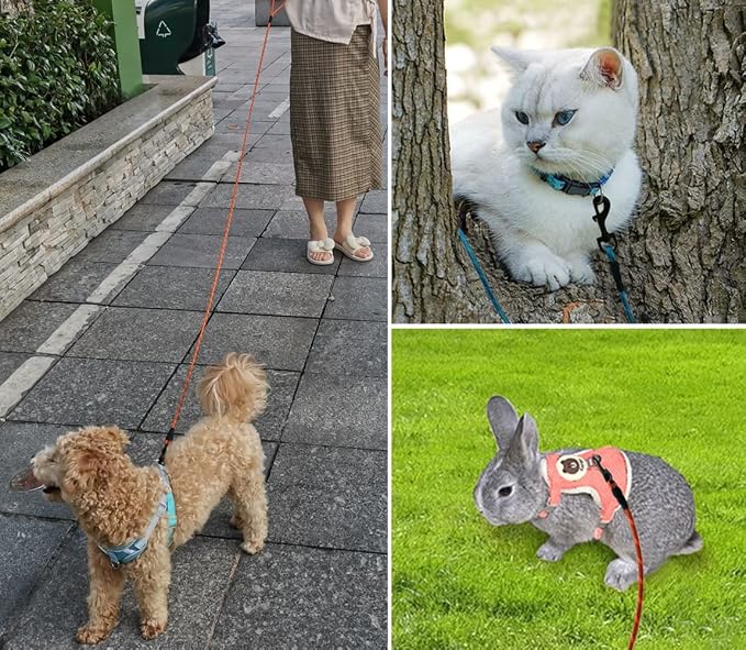 WYuZe Reflective X-Small Dog Leash 6/10/15 FT, Thin 1/5" Lightweight Rope Leash for Puppy Training, Walking Leads for Cats Chihuahua Maltese Small Pets Up to 15lb (6FT x1/5", Blue)