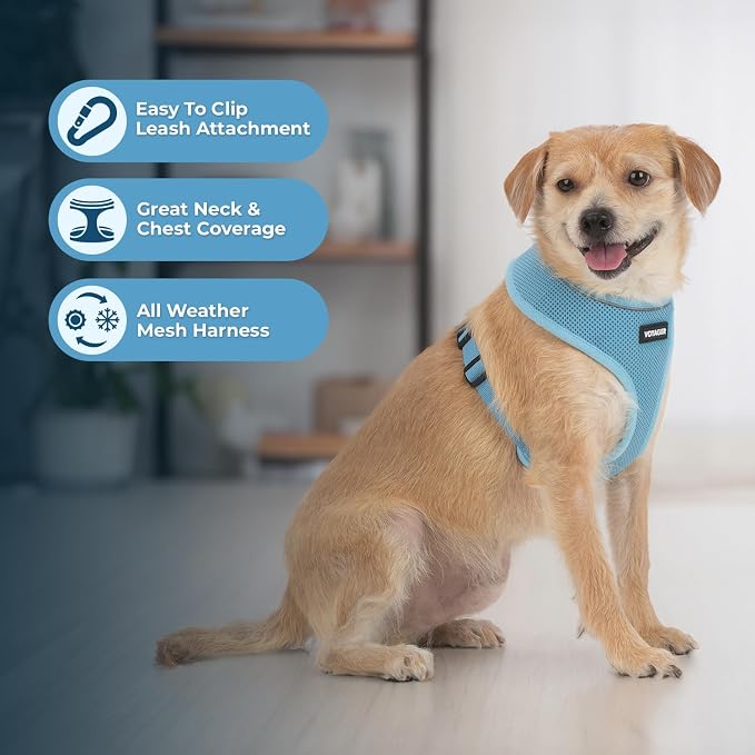 Best Pet Supplies Voyager Aerolite Over the Head Dog Harness, No Pull Breathable Air Mesh Vest, Quick Dry with Reflective Stitching, Adjustable Escape Resistant Harness - Blue, Small