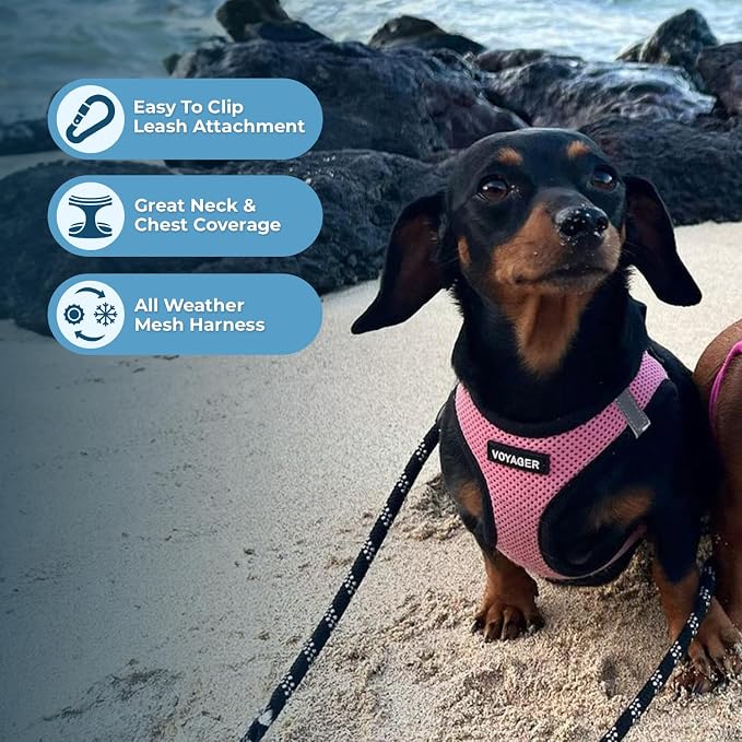 Best Pet Supplies - All Weather Mesh / Plush, Reflective, No Pull Harness for Small, Medium Dogs, Cats - Secure with Hook & Loop Fastener, Buckle, Double D-Rings - Pink/Black Trim, L