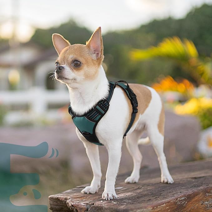 Eagloo Small Dog Harness No Pull, Service Vest with Reflective Strips and Control Handle, Adjustable and Comfortable for Walking, No Choke Pet Harness with 2 Metal Rings, Dark Green, XS